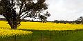 West Australia Landscapes